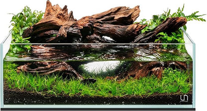 Ultum Nature Systems Ultra Clear Rimless Aquarium - Low Iron Glass Fish Tank with 45° Mitered Edges, 5mm-12mm Thick, Leveling Mat Included (5S, Shallow, 2 Gallon)