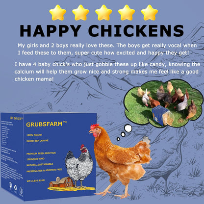 Premium Chicken Treats 2LB - Non-GMO & 85X More Calcium Than Meal Worms - Molting & Laying Supplement - BSF Larvae Treats for Layer Hens, Ducks Wild Birds
