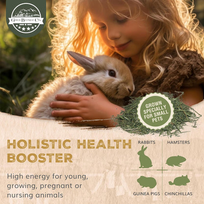 5lb Farm Fresh, USA Grown, Organic Alfalfa Hay for Rabbits, Guinea Pigs, Chinchillas, Goats, Hamsters & Ferrets - Small Animal Food Rich in Protein & Fiber - Just Dried, Hand-Selected