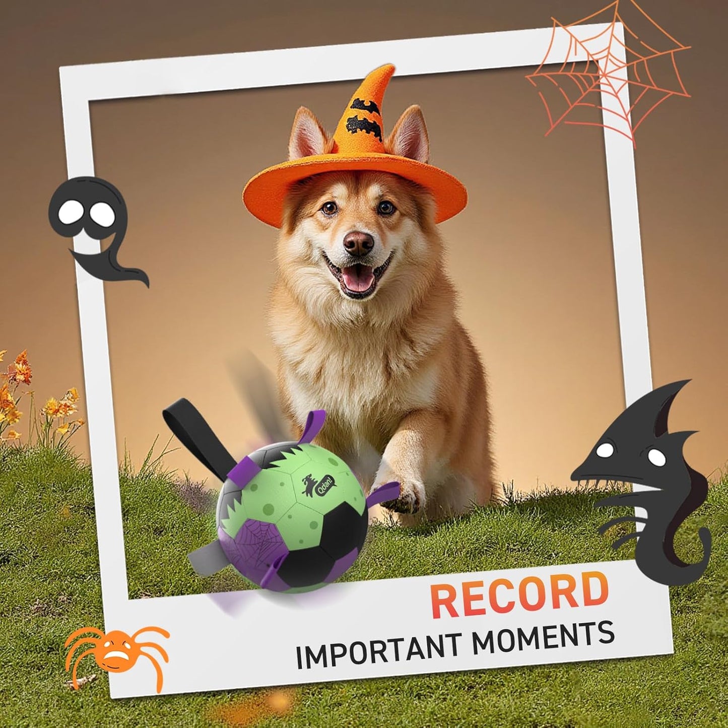 QDAN Dog Toys Ball: Dog Soccer Balls with Straps- Outdoor Herding Balls Toys for Small Medium Dogs- Halloween Puppy Pet Birthday Gifts- 6 Inch Purple Green