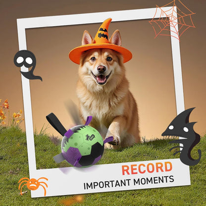 QDAN Dog Toys Ball: Dog Soccer Balls with Straps- Outdoor Herding Balls Toys for Small Medium Dogs- Halloween Puppy Pet Birthday Gifts- 6 Inch Purple Green