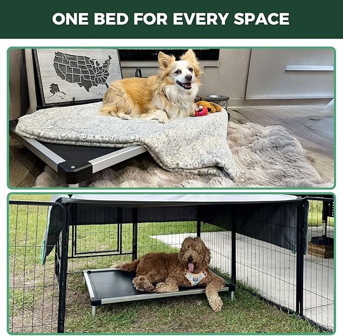 FXW TitanNest Chew-Proof Elevated Dog Bed, Raised Cot for Indoor/Outdoor/Camping Use, Durable & Waterproof Cooling Pet Bed for Toy Dogs, 24.0" L x 20.0" W x 4.1" H, Black