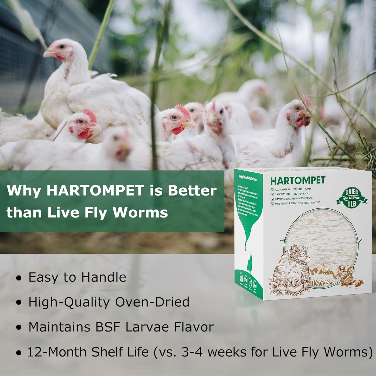 Dried BSF Larvae for Chickens - Non-GMO Poultry Feed Supplement, 85X More Calcium Than Mealworms, 1LB Grub Worms Perfect for Molting & Laying Hens, Ducks, and Wild Birds