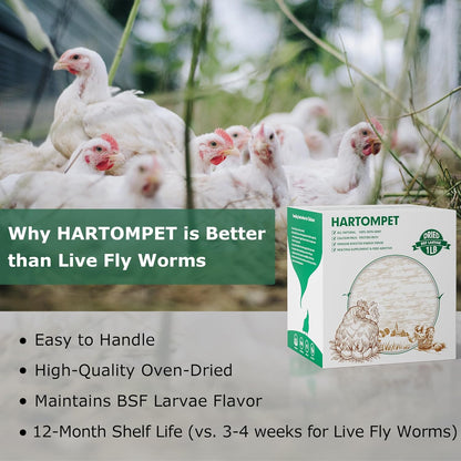 Dried BSF Larvae for Chickens - Non-GMO Poultry Feed Supplement, 85X More Calcium Than Mealworms, 1LB Grub Worms Perfect for Molting & Laying Hens, Ducks, and Wild Birds