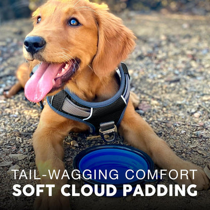 Embark Adventure Dog Harness, Reflective Trim No Pull Dog Harness for Large Dogs - Military Grade Nylon, Front Clip with Gel Lined Handle. Soft & Padded Puppy for Any Breed