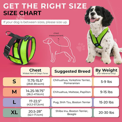 Gooby Comfort X Head In Harness - Green, X-Large - No Pull Small Dog Harness, Patented Choke-Free X Frame - Perfect on the Go Dog Harness for Medium Dogs No Pull, Small Dogs for Indoor and Outdoor Use