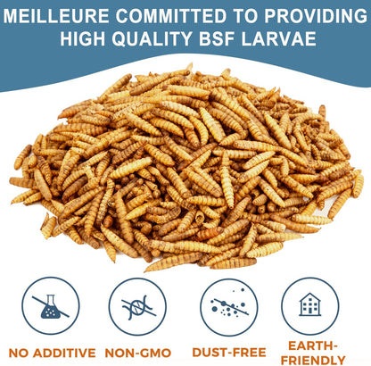 BSF Larvae 85X Calcium Than Dried Meal Worms 20LB(10lbx2) for Chicken Feed - Bulk Black Soldier Fly Larvae Poultry Treats - BSF Grubs Non-GMO Food High Protein Meal Worms for Hens,Wild Bird