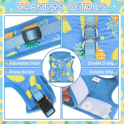 PUPTECK Soft Mesh Cat Vest Harness and Leash Set Puppy Padded Pet Harnesses Escape Proof for Cats Small Dogs Rabbits Bunny