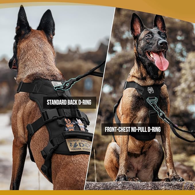 OneTigris Escape Proof Dog Harness, No Pull Dog Harness with Handles, Tactical Multi-Use Support Dogs Harnes for Large Dogs Everyday Wear Walking Hiking Training (Black, Medium)