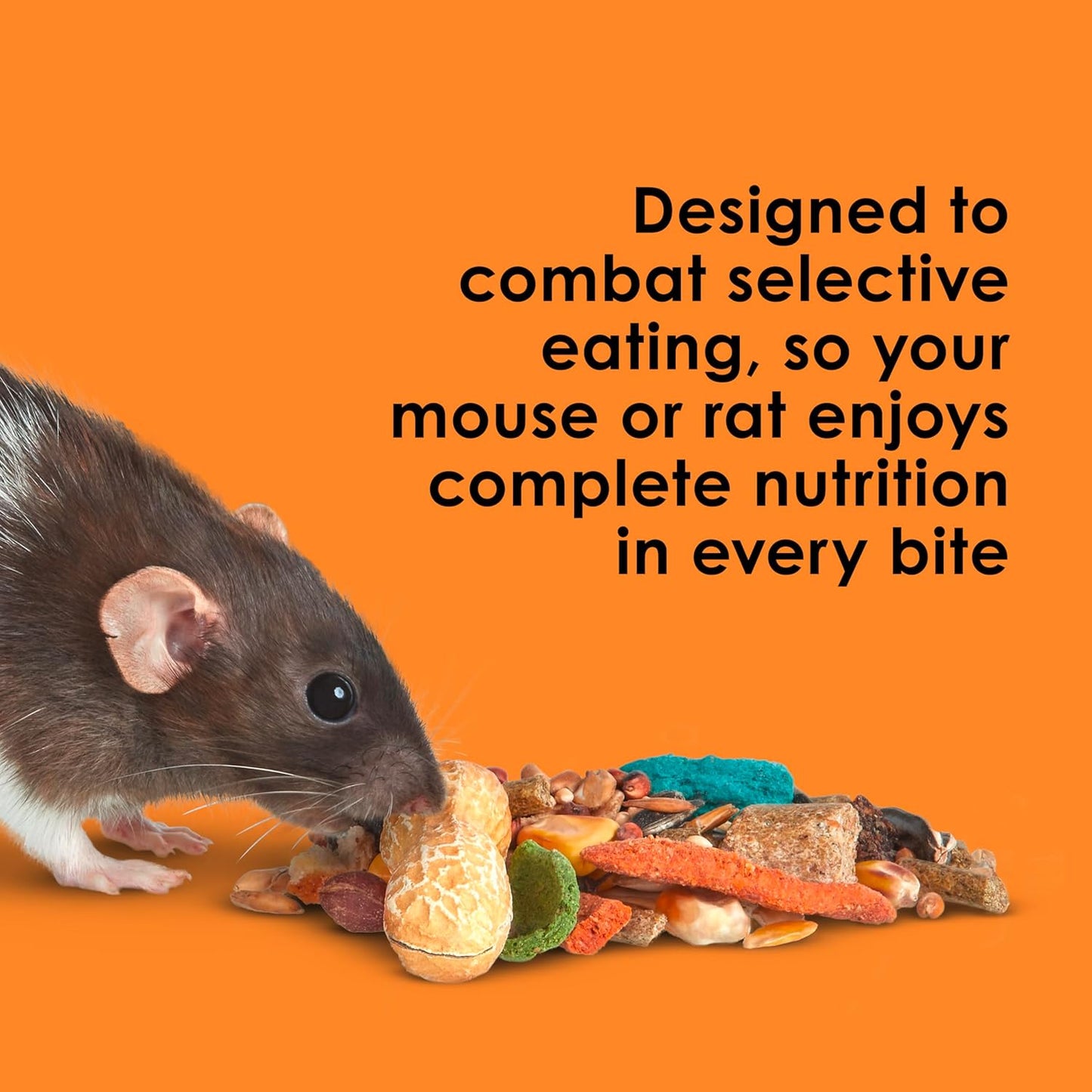 Kaytee Fiesta Mouse & Rat Food, Nutritious and Fun Blend, Supports Dental Health and Digestion, 4.5 pounds