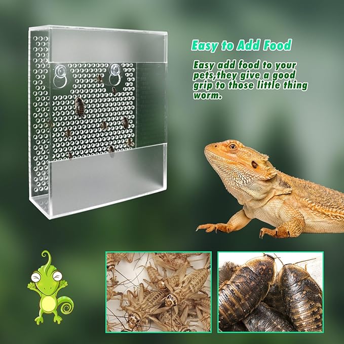 Transparent Acrylic Reptile Feeder Box, Wall-Mounted Insect Feeder with Suction Cups, Tank and Aquarium Accessories for Bearded Dragon, Lizard, Gecko, Frog