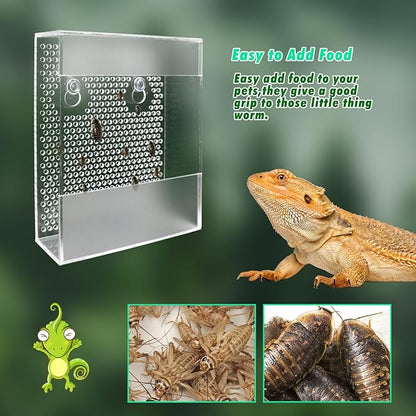 Transparent Acrylic Reptile Feeder Box, Wall-Mounted Insect Feeder with Suction Cups, Tank and Aquarium Accessories for Bearded Dragon, Lizard, Gecko, Frog