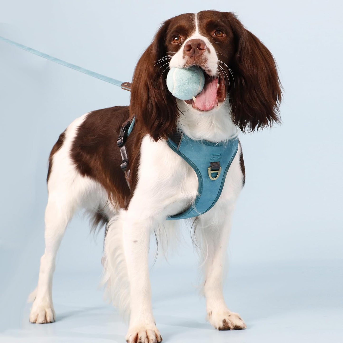 No Pull Dog Harness Small Sized Dog,Stylish PU Leather Vest with Easy Control Handle,No Choke Front Clip with 2 Metal Leash Clips,Reflective & Adjustable for Walking,Light Blue,Chest 19-24"