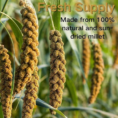 Bird Seed Parakeet Food - 200 Gram Vacuum Sealed Millet Treat for Birds Parakeets Natural Sun-Dried Birds Millet for Cockatiel Budgie Finches Parrots