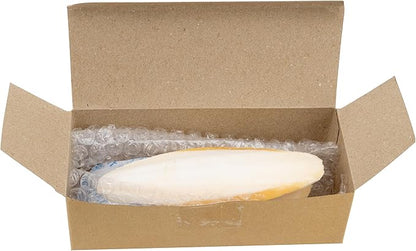 Birds LOVE Natural Cuttlebone | 100% Pure Sun-Dried Calcium Supplement for Birds, Tortoises, Snails & Crabs | Supports Beak & Shell Health | Easy to Chew | 3 Pack, Size 5.5 to 6"