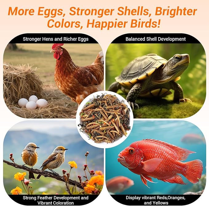 Worm & Garden Blend - Premium Treat for Chickens, Birds, Ducks, Reptiles & Hedgehogs - High Protein Feed with Dried Mealworms, BSFL, Veggies - 1 Lbs Resealable Bag Bug 'n' Veggie Buffet