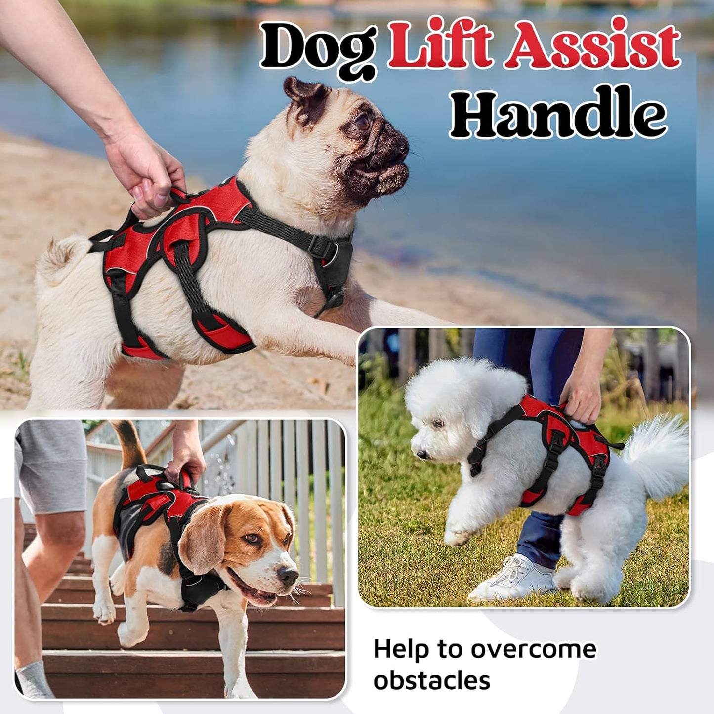 rabbitgoo Escape Proof Dog Harness, Soft Padded Full Body Pet Harness, Reflective Adjustable No Pull Vest with Lift Handle and Leash Clip for Large Dogs Walking Hiking Training, S, Red