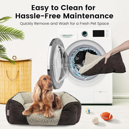 Miguel Washable Cat Beds for Indoor Cats, Easy to Wash Small Pet Sofa with Removable Cushion, Rectangle Bolster Kitten Bed with Anti-Slip Bottom, Brown 18 Inch