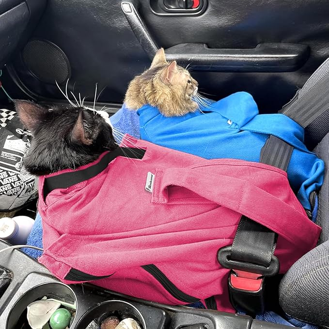 Cat Carrier Pouch, Soft Cat Bag Carrier for Bonding & Stress-Free Vet Visits, Cozy Cat Pouch Carriers to Comfort and Cuddle Your Kitty, for Medium & Small Cats, Pink