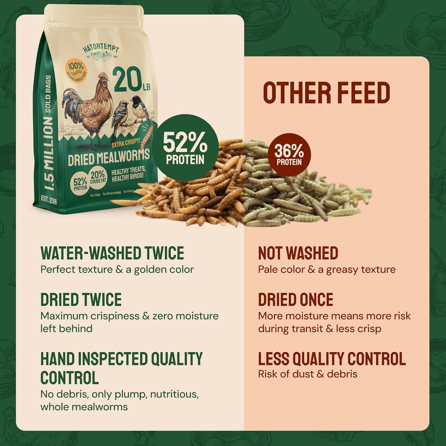 Hatortempt Dried Mealworm Bird Food - 20 Lb Bulk Pack - High Protein Poultry & Chicken Feed - Duck Food & Wild Bird Feed & Quail Treats