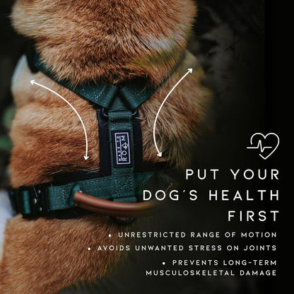 MADE TO ROAM Premium Explorer Harness - Y-Shaped Dog Harness with Adjustable Durable Nylon, Soft Padding, Metal Buckles and Leather Handle for Small, Medium, Large Dogs (Montana Moonrise, Size 3)