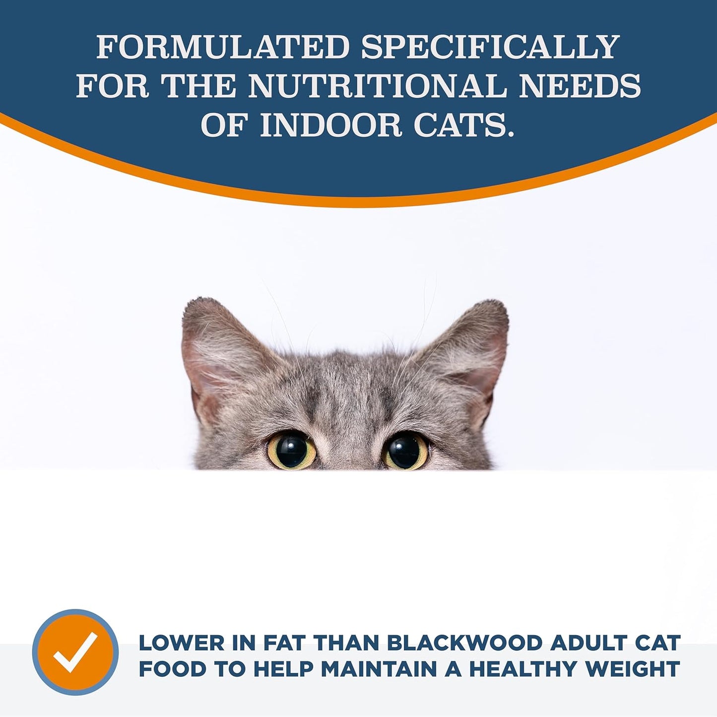 Blackwood Dry Cat Food, Indoor Formula, Chicken Meal & Brown Rice Recipe, 4 Pound Bag, High Protein, Slow Cooked