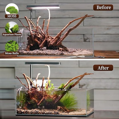 majoywoo Natural Driftwood for Aquarium Decor Fish Tank Decorations, Assorted Spider Wood Branch 7-11" 3 Pcs, Reptile Decor