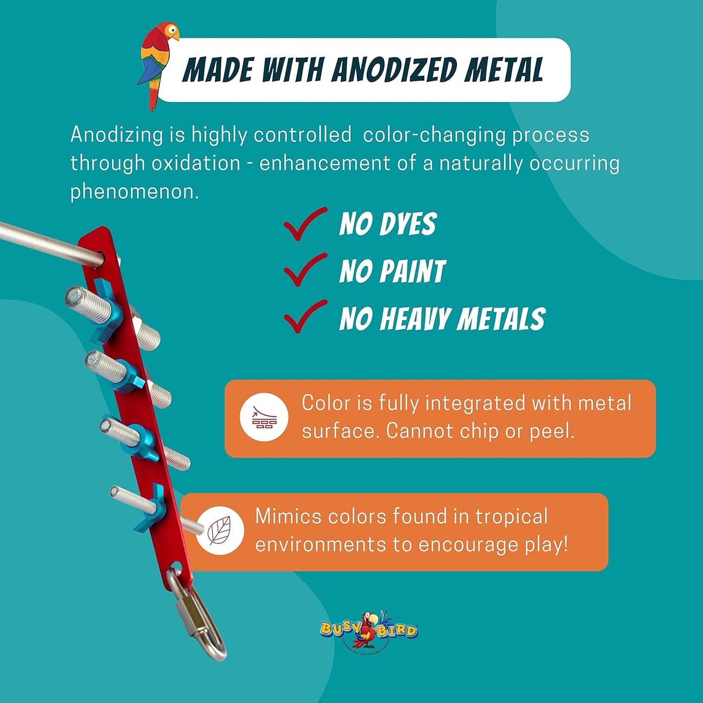 Strip Bird Foraging Toy | Non-Removable Wing Nuts | Durable Puzzle Enrichment Toy | Mind Game | Bird Cage Accessories for Medium to Large Birds Like Cockatoos, Parrots, Macaws, Greys, Parakeets