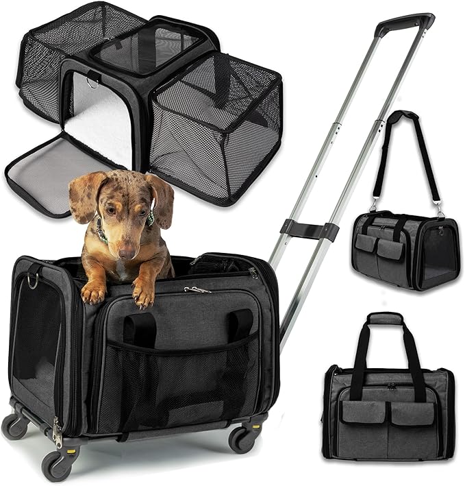 Pet Carrier with Wheels | United Delta American Frontier Airline Approved | Two Expandable Sides, Storage Pockets Adjustable Leash | Rolling Dog and Cat Carrier TSA Compliant (Dark Grey 17x11x11)