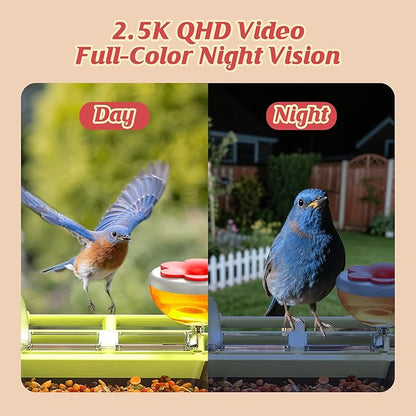 Smart Bird Feeder with Camera Outdoor: 2K Wild Bird Watching Video Cam - Unique Gifts for Nature Lover - Birds House Window at Garden IP66 Solar Charged & Squirrel-Proof Alarm