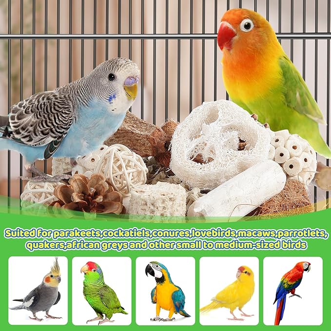 Kyouki Bird Toys Parrot Toys Natural Bird Foraging Box Foot for Parakeets,Cockatiels,Conures,Love Birds,and Other Small to Medium Birds (Medium)