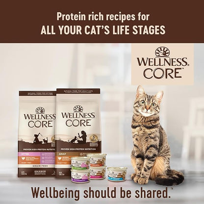 Wellness CORE Signature Selects Chunky Adult Wet Cat Food, Natural, Protein-Rich, Grain Free, 5.3 Ounce, 12 Pack (Chicken & Salmon)