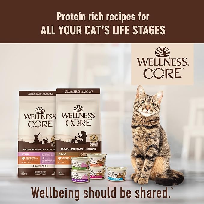 Wellness CORE Signature Selects Chunky Adult Wet Cat Food, Natural, Protein-Rich, Grain Free, 2.8 Ounce, 12 Pack (Beef & Chicken)