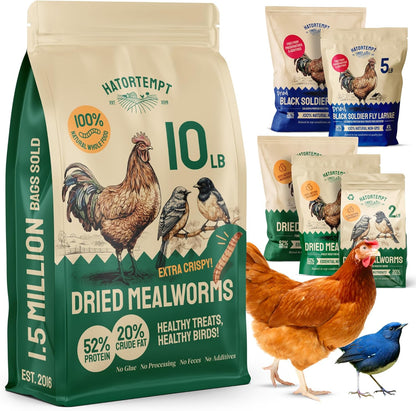 Hatortempt Bulk Dried Mealworms - 10 Lb Bag - Non-GMO Dried Mealworms for Chickens, Ducks & Wild Birds - High-Protein Chicken Feed & Bird Food