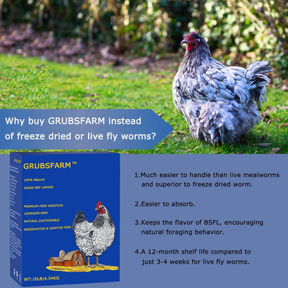 Premium Chicken Treats 10LB - Non-GMO & 85X More Calcium Than Meal Worms - Molting & Laying Supplement - BSF Larvae Treats for Layer Hens, Ducks Wild Birds