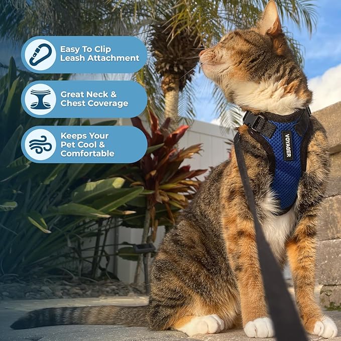 Voyager Step-in Lock Adjustable Cat Harness w. Cat Leash Combo Set with Neoprene Handle 5ft - Supports Small, Medium and Large Breed Cats by Best Pet Supplies - Royal Blue/Black Trim, XXXS