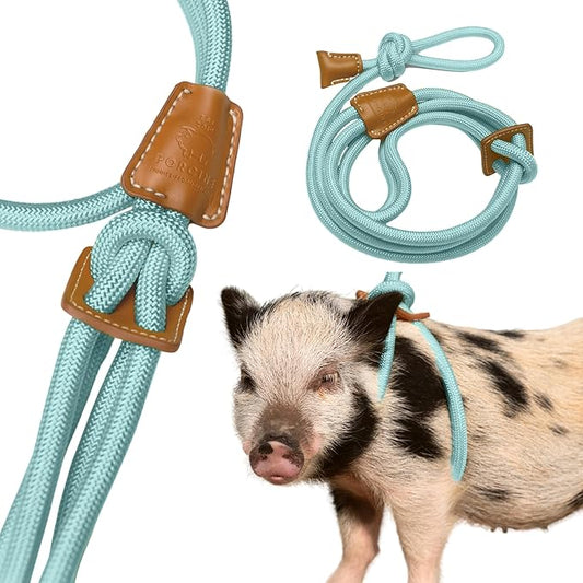 Mini Pig Harness & Leash (S/M) - Fully Adjustable, Infinity Style Lead, Step-in Harness, Potbelly Supplies, All-in-One - Ideal for Small & Medium Pet Pigs (Small, Eggshell Blue)