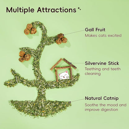 Potaroma Natural Catnip Silvervine Gall Fruit Cat Toys Set with Plush Shell, Organic Kitten Toys for Relaxing and Teething, Interactive Cat Kicker Set (2.2" Dia Tubes)