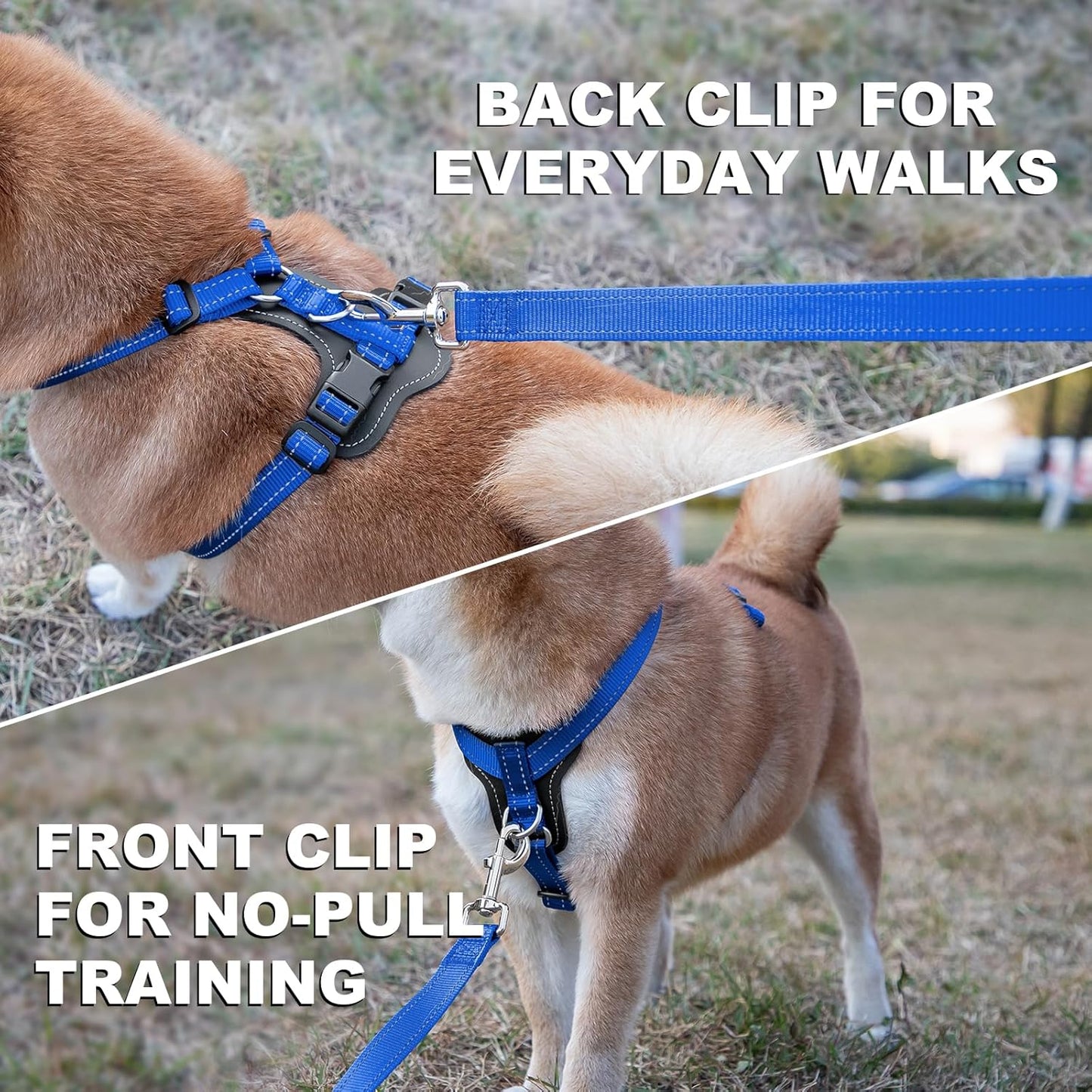 Plutus Pet Adjustable No Pull Dog Harness with Leather Accents, Heavy Duty Reflective Nylon Vest for Training, Hiking, Easy Walk Harness for Small, Medium, Large Dogs (Royal Blue, S)