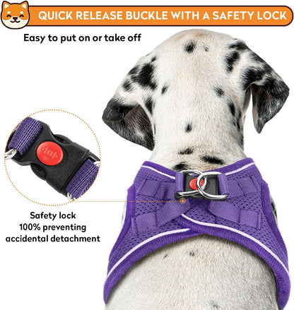 Dog Harness with Leash Set, No-Pull Step-in Reflective Pet Harness with 1 Leash Clips, Adjustable Soft Padded Easy Walk Dog Vest for Small Medium Large Dogs, Cats(Light Purple, Large)