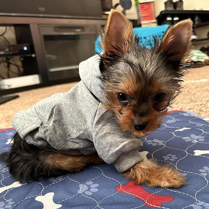 Jecikelon Winter Dog Hoodie Sweatshirts with Pockets Warm Dog Clothes for Small Dogs Chihuahua Coat Clothing Puppy Cat Custume (Grey, Small)