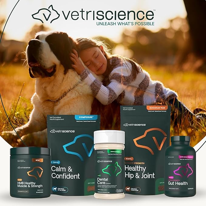 VetriScience Extra Strength Healthy Hip & Joint Chews, GlycoFlex Glucosamine & Green-Lipped Mussel Support Supplement for Dogs, Promote Mobility & Soothe Joint Discomfort, Chicken, 3 Pack