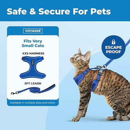 Voyager Escape Proof Cat Harness and Leash Set with Reflective Stitching, Neoprene Handle 5ft - Supports Small, Medium and Large Cats, Kittens for Walking by Best Pet Supplies - Royal Blue, XXS