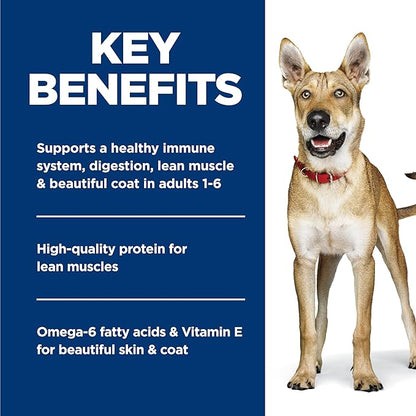 Hill's Science Diet Adult 1-6, Adult 1-6 Premium Nutrition, Wet Dog Food, Beef & Barley Loaf, 13 oz Can, Case of 12