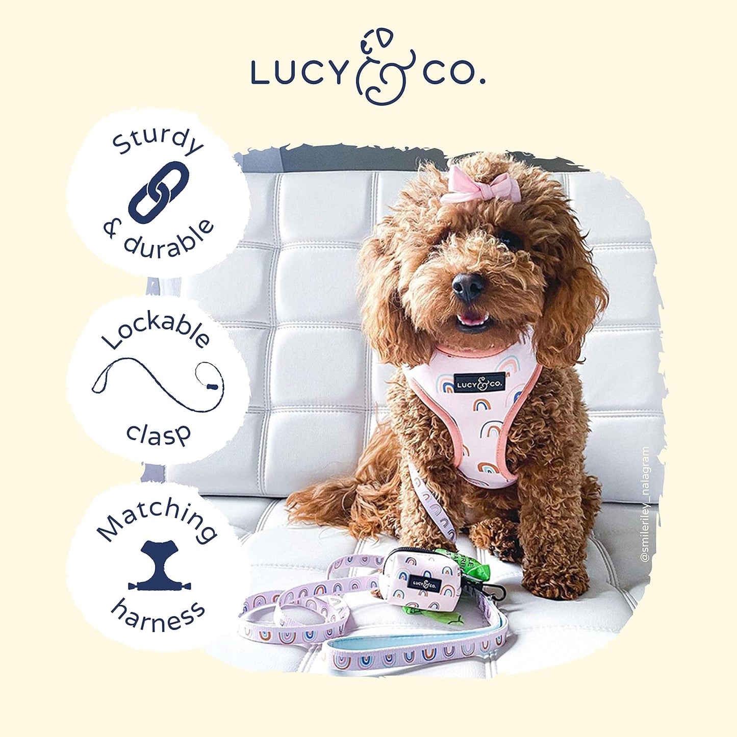 Lucy & Co. 5 Foot Designer Dog Leash - Best for Big, Small, or Medium Dogs - Puppy Leash - Cloud, Large