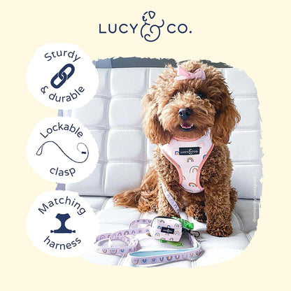 Lucy & Co. 5 Foot Designer Dog Leash - Best for Big, Small, or Medium Dogs - Puppy Leash - Cloud, Large