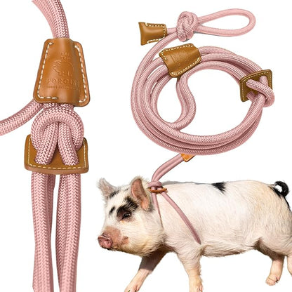 Mini Pig Harness & Leash - Fully Adjustable, Infinity Style Lead, Step-in Harness, Potbelly Supplies, All-in-One - Ideal for Small & Large Pet Pigs (Mauve Pink, Large)