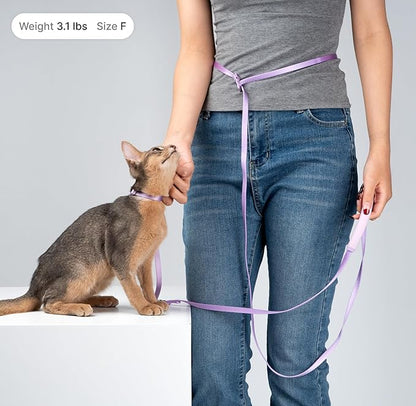 Ultra Lightweight Cat Leash Adjustable with Padded Handle, Soft Thin Nylon Cat Walking Training Waist Crossbody Leash for Kitten >4lbs Small Large Cats Puppy, No Harness (Monet Purple)