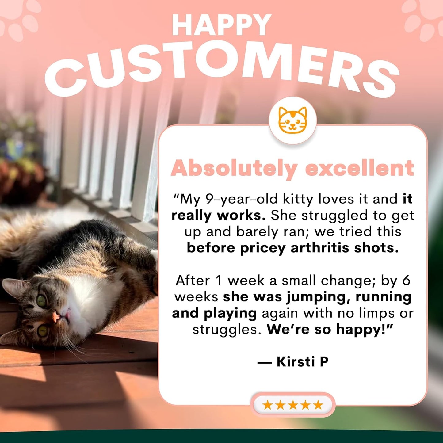 Hip and Joint Supplement for Cats - Glucosamine, Chondroitin, MSM for Joint Hip Care, Arthritis Pain Relief, Mobility Support, Cartilage Health, Inflammation Reduction - Senior Cat Support, 60 Scoops