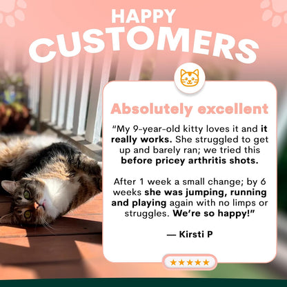 Hip and Joint Supplement for Cats - Glucosamine, Chondroitin, MSM for Joint Hip Care, Arthritis Pain Relief, Mobility Support, Cartilage Health, Inflammation Reduction - Senior Cat Support, 60 Scoops